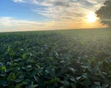 Vendo Campo en Frentones Chaco