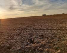 Vdo 285 Has Todo Agric Maíz Soja en Producción U$ 1.700.000