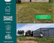 Campo en Chasico - Torquinst 665 Has