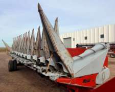 Maicero Maizco - año 2007