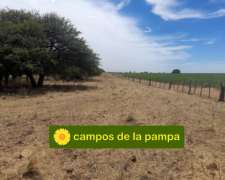 La Pampa – Venta muy Buen Campo Mixto 400 Ha Agro-ganadero
