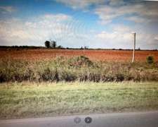 Vendo Campo 124 Has Mixto Sobre Ruta 10
