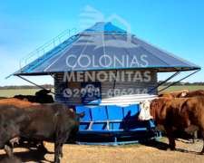 Silos Comedero Base Reforzada - Colonias Menonitas