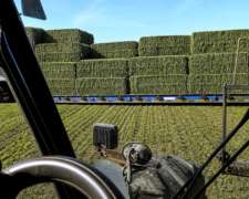 Megafardos de Alfalfa - Lasna Insumos - MÍN 23 TN