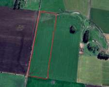 11 Hectáreas Agrícolas