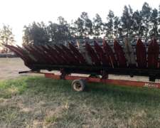 Se Vende Girazolero 10 a 52cm