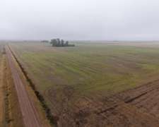 30 HA. Agrícola Suelo Clase 1. Muñoz (santa FE)