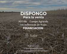 Vendo 307 Ha Agricolas en Suco