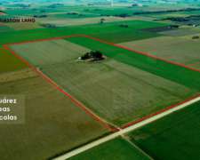 Vendo 35 Hectáreas Ubicadas en Coronel Suarez Pcia de BS