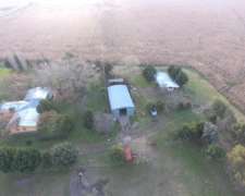 Monte - 342 Ha - Buenos Aires