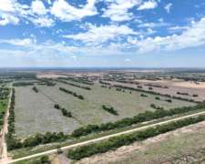 Pcia. de Cordoba - Chalacea 278 Has