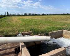 Finca 21.5 Ha en San Roque, Maipú