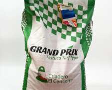 Semilla Cesped Festuca X 20kg