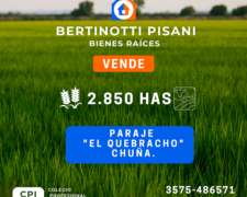 2850 Ha en Paraje el Quebracho- Chuña