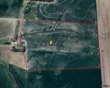 Campo Agrícola 49 Hectáreas