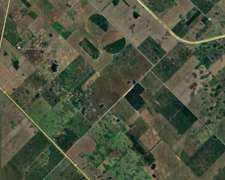 Lujan Provincia de Buenos Aires