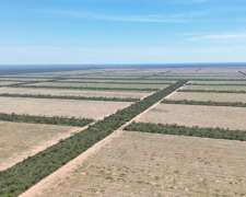 10000 Hectáreas Agrícolas en las Lajitas, Salta