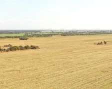 Chalacea, Río Primero, Córdoba - 119 Ha