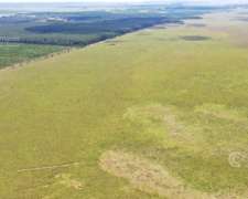 Se Vende Campo Ganadero de 505 Ha en Virasoro, Corrientes