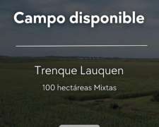 Campo Mixto - 100 Has - Trenque Lauquen