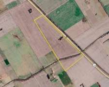 55 Has Agrícolas en Salto Grande