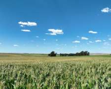 851 Has. Campo Agrícola en Tandil