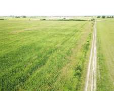 50 Has Agrícolas Ramayon San Justo Santa FE