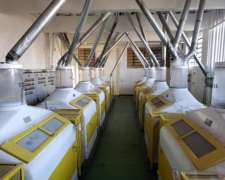 Molino Harinero de Trigo en Brasil