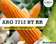 Semilla De Maiz Arg 7712 Bt Rr - Argenetics