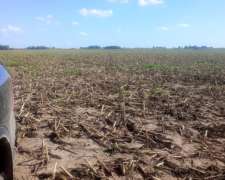 Victoria, 20 Has Agricolas