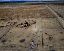 Campo en Venta - Renca/tilisarao (san Luis)