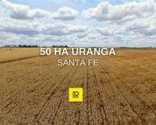 50 Ha Uranga Santa FE