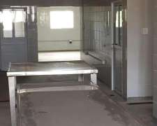 Moquehua 20 Has con Frigorífico de Cerdos, Casa y Puesto