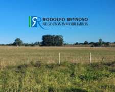 Lote De 1 Hectárea En Villa Elisa, Entre Ríos