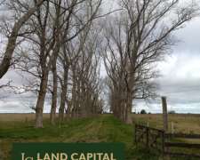 302 HA, Ganadero, Chascomus
