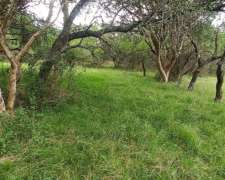 Campo Ganadero 600 Hectareas