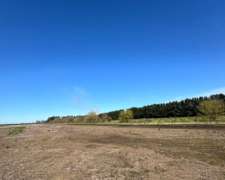 Campo Agrícola de 90 Hectáreas Sobre Ruta 9