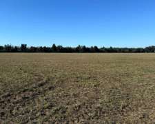120 Hectáreas Agrícolas Baradero