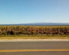 Bañado de Ovanta Oportunidad 437 Hectareas Agricolas S/ruta