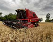 Cosechadora Don Roque RV 125