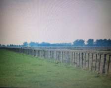 Campos Centro Buenos Aires, Agrícolas, Mixtos, Ganaderos