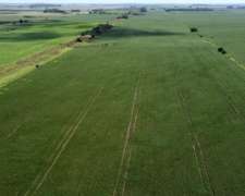 Vendo Campo Agricola S/ruta