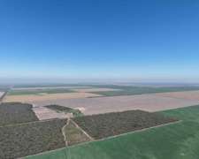 Pcia. De Santigo Del Estero - Roversi 1118 Ha