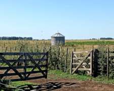 Venta Campo Ganadero Rauch 617 Ha con 150 Ha Agrícolas