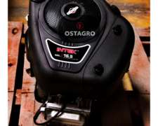 Motor Bys 16.5 Hp-vertical 500 Cc.-eje 1 X 3.157
