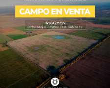 Irigoyen 110 Has Agrícolas. Campo en Venta