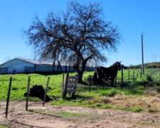 Campo de 16 Hectáreas. (dto Uruguay - E. Ríos)
