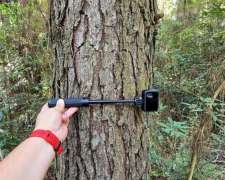 Se Vende 60 Ha con Pino y Arroyo Misiones.