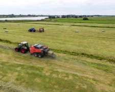 Megaenfardadora Kuhn Lsb 1270