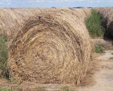 Rollos de Sorgo Buena Calidad